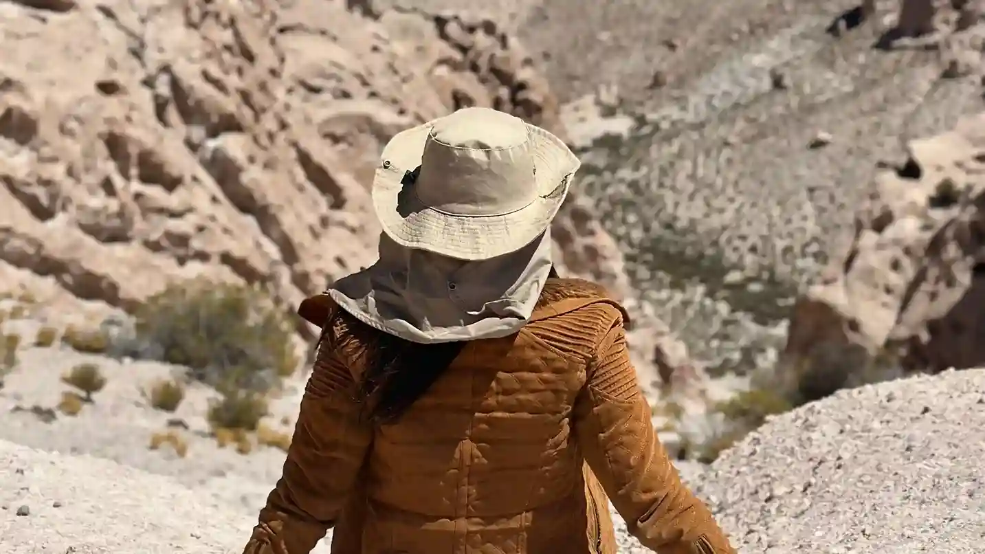 Abu Dhabi desert scene during layover with traveler exploring local landscape